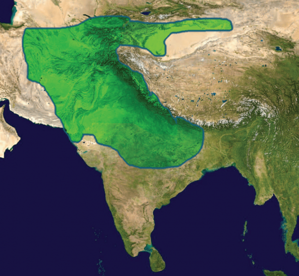 Epoch of Glory-The Kushan Dynasty